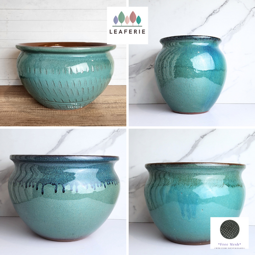 The Leaferie Albany Large green ceramic pot. 5 Design