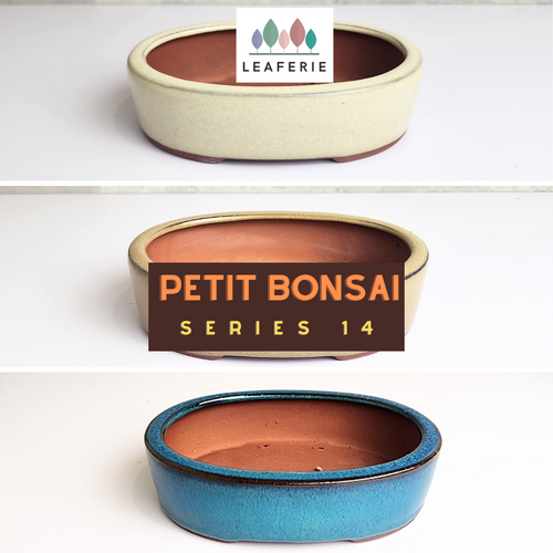 The Leaferie Petit Bonsai Series 14 . oval bonsai pot. 3 colours. ceramic . photo of 3 colours