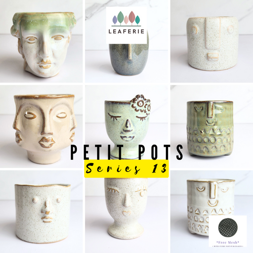 The Leaferie Petit pots series 13. 9 small pots. ceramic material