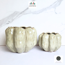 Load image into Gallery viewer, The Leaferie Beaumont flowerpot 2 sizes ceramic flowerpot
