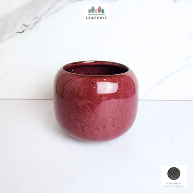 The Leaferie Ellis red ceramic flowerpot.