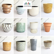 Load image into Gallery viewer, The Leaferie AS-Is May 2024. 12 pieces ceramic pots
