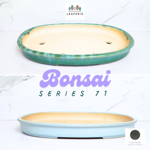 Load image into Gallery viewer, The Leaferie Bonsai Series 71 flowerpot. 2 colours oval shape and shallow
