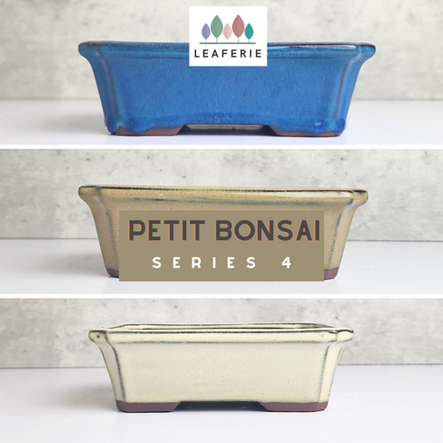 The Leaferie Petit Bonsai Series 4 . 3 colours rectangular  bonsai planter. Front view of all designs