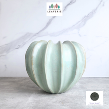 Load image into Gallery viewer, The Leaferie Mossen green ceramic pot. 
