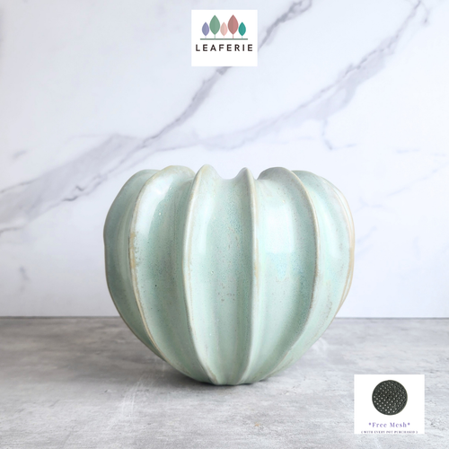 The Leaferie Mossen green ceramic pot. 