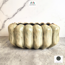 Load image into Gallery viewer, The Leaferie Sable shallow pot. ceramic material
