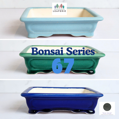 The Leaferie Bonsai Series 67. 3 colours rectangular ceramic pot.