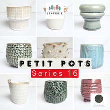 Load image into Gallery viewer, The Leaferie Petit pots series 16. 9 designs of ceramic pot . suitable for succulents
