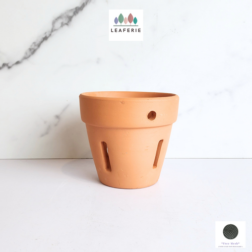 The Leaferie Yui Terracotta pot with holes . suitable for orchid.