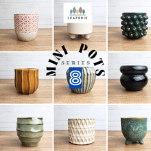 Load image into Gallery viewer, The Leaferie Mini Pots Series 8 . 9 designs ceramic pot. 
