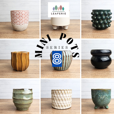 The Leaferie Mini Pots Series 8 . 9 designs ceramic pot. 