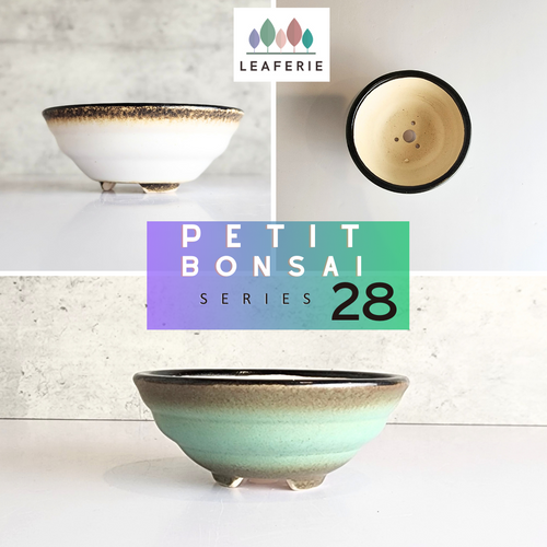 The Leaferie Petit Bonsai Series 28 . 2 colours round ceramic planter. 