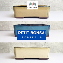 Load image into Gallery viewer, The Leaferie Petit Bonsai Series 9. rectangular bonsai pot. ceramic and 3 colours. front view of design
