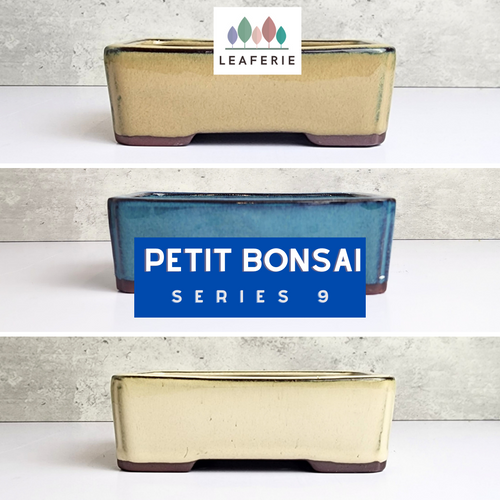 The Leaferie Petit Bonsai Series 9. rectangular bonsai pot. ceramic and 3 colours. front view of design