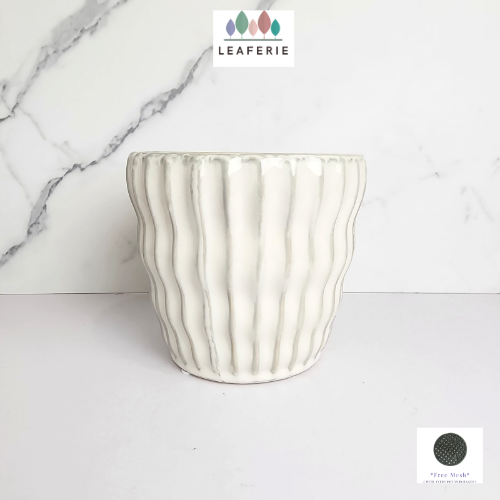 The Leaferie Quin White ceramic pot