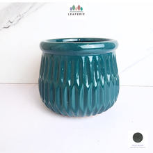 Load image into Gallery viewer, The Leaferie fountaine Teal ceramic pot
