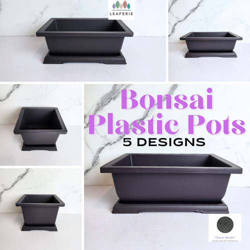 The Leaferie plastic Bonsai pots with trays. rectangular and square shape. Black Colour