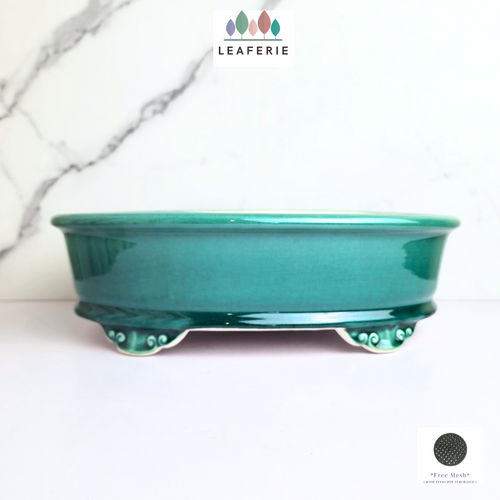 The Leaferie Bonsai Series 60 oval green ceramic pot