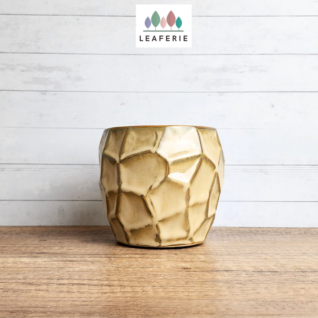 The Leaferie Thalia pot. yellowish ceramic pot with geometric shape.
