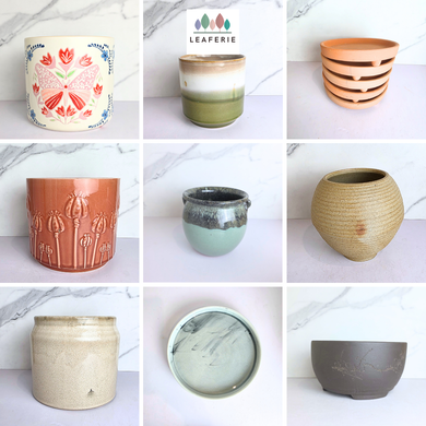 As-is ceramic pots oct/nov 25 with 'LEAFERIE' branding.