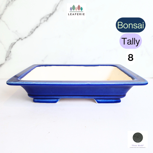 The Leaferie Bonsai Tally 8 rectangular ceramic blue pot.