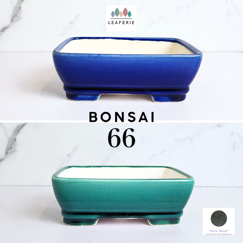 The Leaferie Bonsai series 66 . Rectangular ceramic pot. blue and green colour