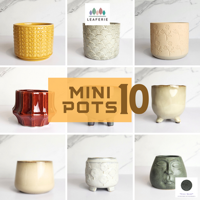The Leaferie Mini Pots (Series 10). 9 designs.