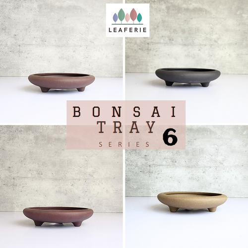 The Leaferie Bonsai tray / pot (Series 6). 4 designs.material is purple sand / zisha . photo of all 4 design