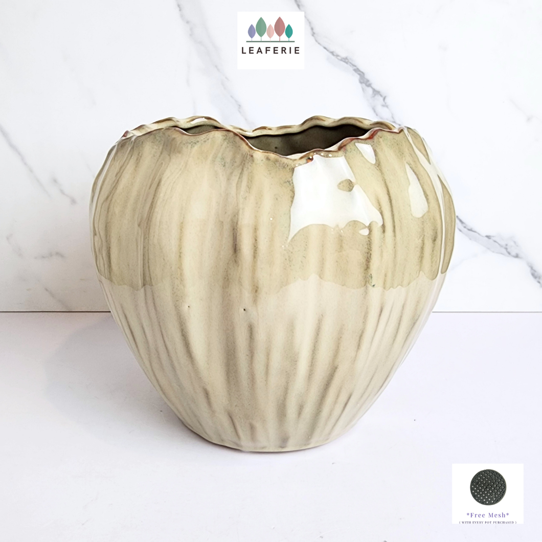 The Leaferie Maple Big beige flowerpot. ceramic material