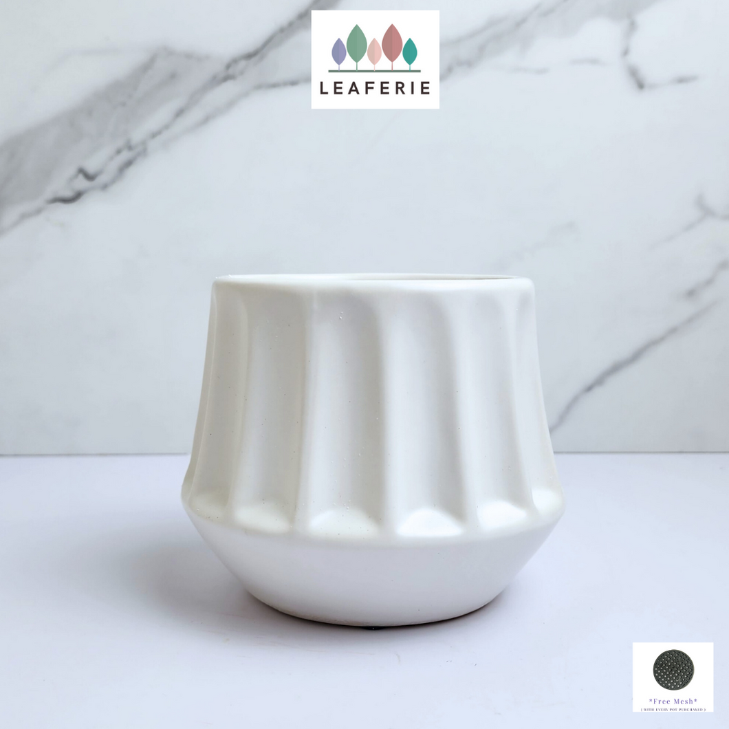 The Leaferie Eirini white ceramic pot.