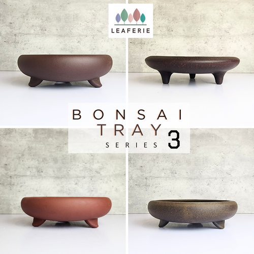 The Leaferie Bonsai tray Series 3. 4 designs zisha plant pot. purple sand material. Photos of all design