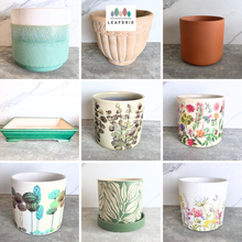 Load image into Gallery viewer, As-Is Pots Batch March 2026 (9 items)
