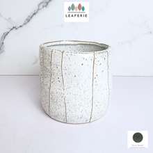 Load image into Gallery viewer, The Leaferie Britt ceramic pot.
