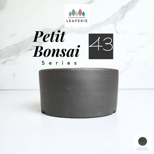 The Leaferie Petit Bonsai Series 43. zisha material
