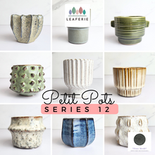Load image into Gallery viewer, The Leaferie Petit Pots Series 12 . mini small ceramic pot. 9 designs. 
