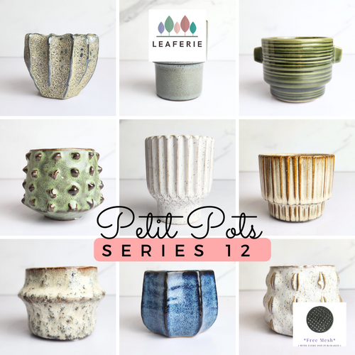 The Leaferie Petit Pots Series 12 . mini small ceramic pot. 9 designs. 