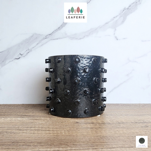 The Leaferie Nandita black pot with spikes. 2 sizes ceramic pot