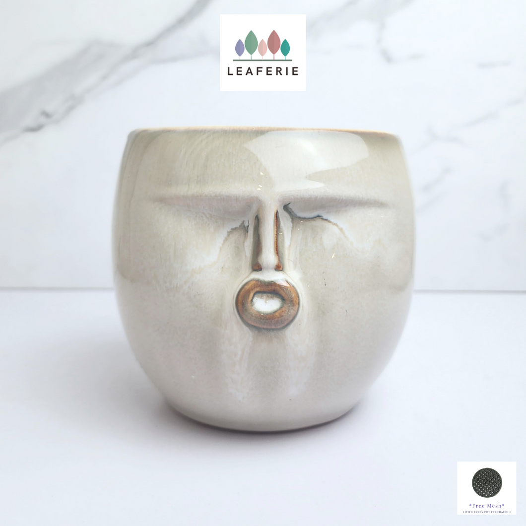 The Leaferie Palmer face flowerpot. ceramic material