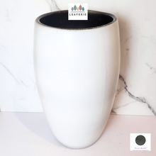 Load image into Gallery viewer, The Leaferie Adric Tall white ceramic pot
