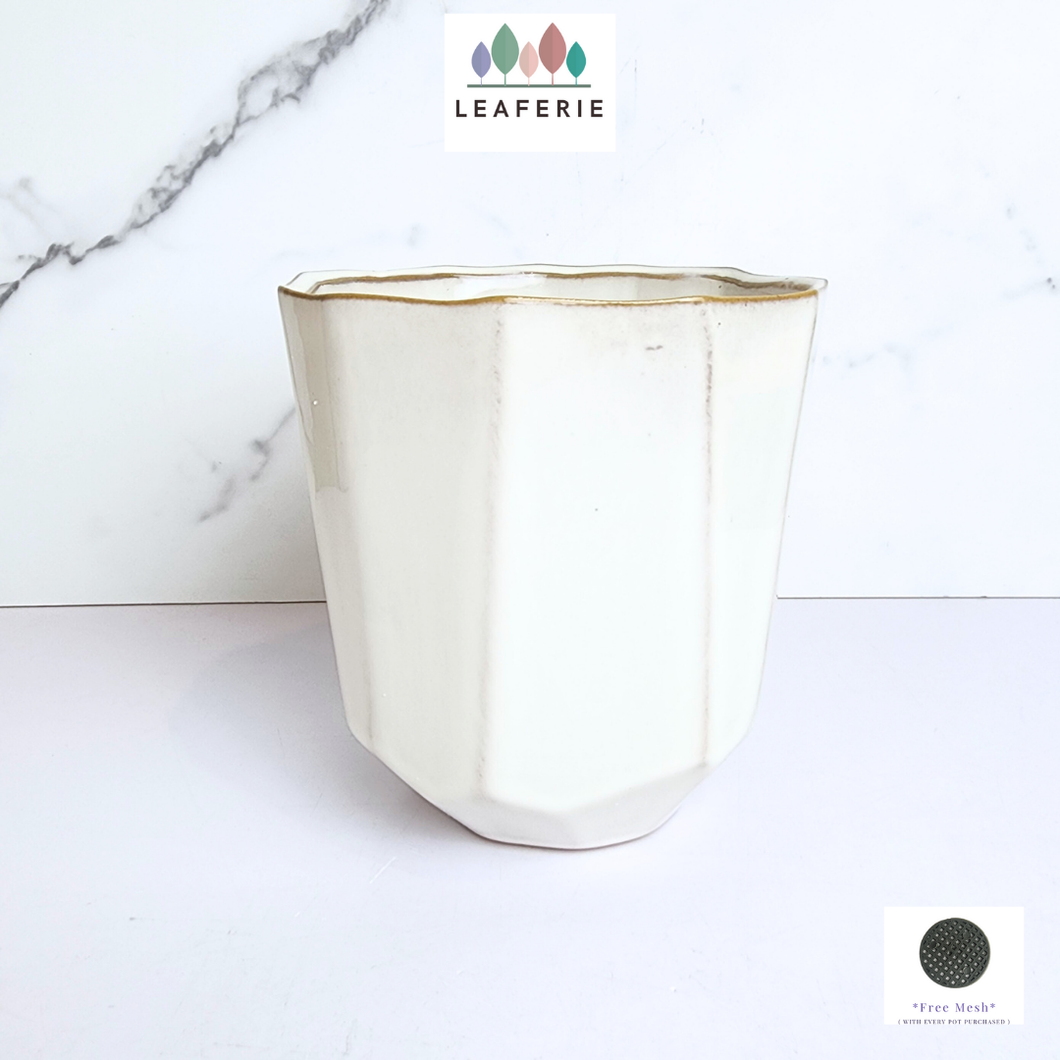 The Leaferie Quy white pot. ceramic material