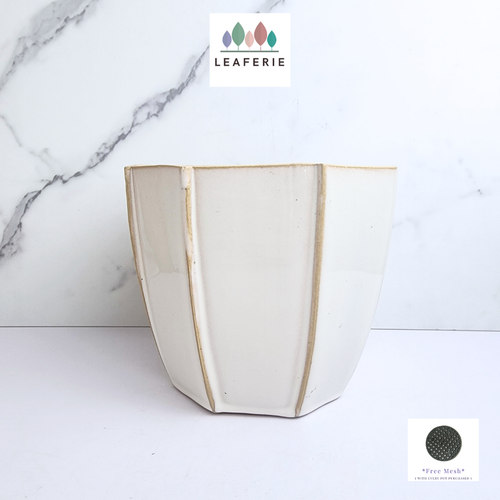 The leaferie venus white ceramic pot.