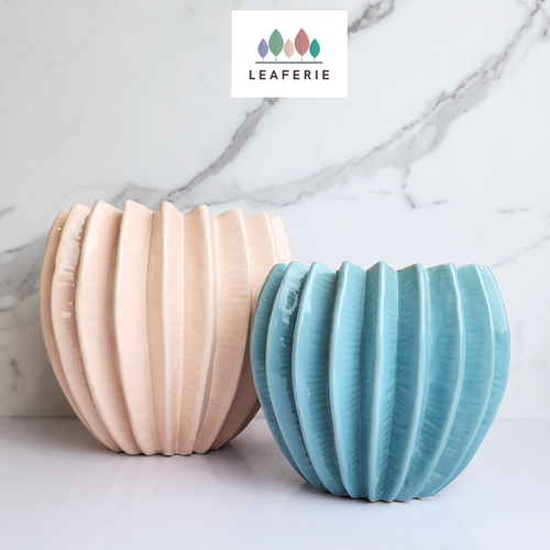 The Leaferie Bae II Planter. 2 colours, pink and blue ceramic pot. front view of both colours