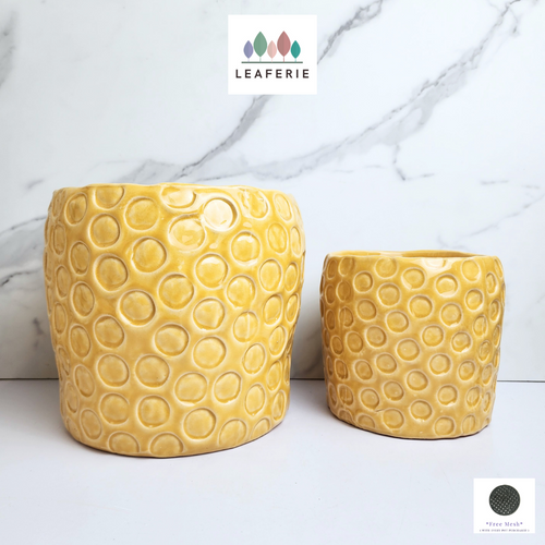 The Leaferie Puro yellow bee hive ceramic pot. 2 sizes