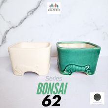 Load image into Gallery viewer, The Leaferie Bonsai Series 62 Square  pot with bull design . green and white colour design
