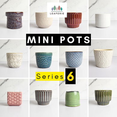 The Leaferie Mini Pots Series 6 . 12 mini pot designs . ceramic small planter. View of all design