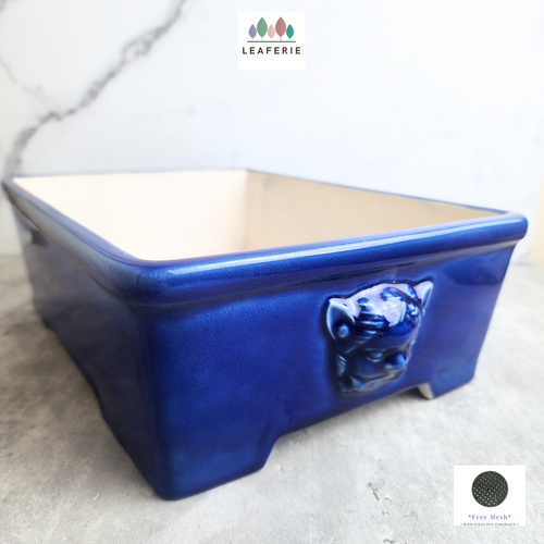 The leaferie Rectangular bonsai pot series 60. 2 colours ceramic pot