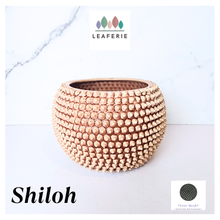Load image into Gallery viewer, Shiloh Flowerpot (2 sizes)
