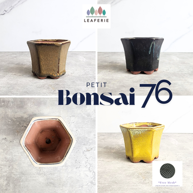 The Leaferie Petit Bonsai pots 76.. Hexagon shape a=with 4 colours. 