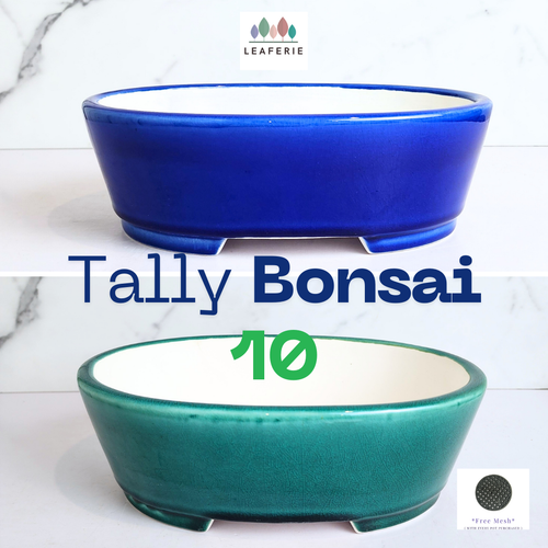 The Leaferie Bonsai Tally series 10 oval bonsai pot. blue and green colour . ceramic material